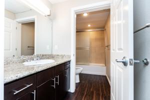 Modern bathroom with granite countertop, sink, and shower.