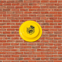 Cub Club Flying Disc