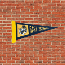 Cub Club Mini Pennant