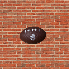 Cub Club Mini Stress Football