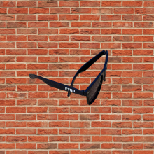 Cub Club Sunglasses