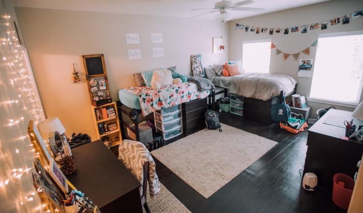 Neatly arranged dorm room with two elevated beds, storage underneath, and a central rug.