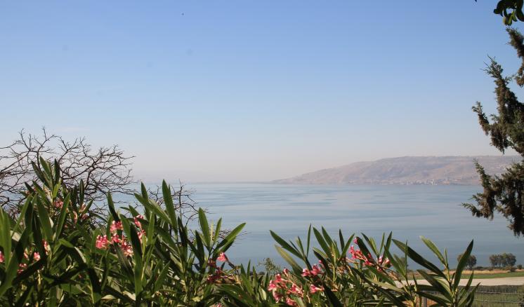 day_5_4_israel_201920190518_0054