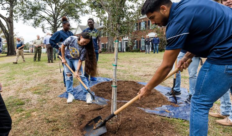 A man and a woman with shovels putting dirt around a tree
