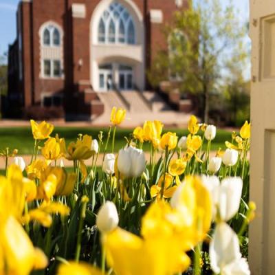Tulips in front of an old chapel.