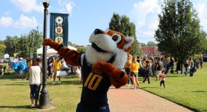 tiger day