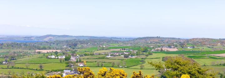 Photograph of a rural landscape featuring green fields, scattered houses, and distant hills under a clear blue sky. Yellow-flowered bushes occupy the foreground, adding vibrant color contrast to the expansive countryside view.