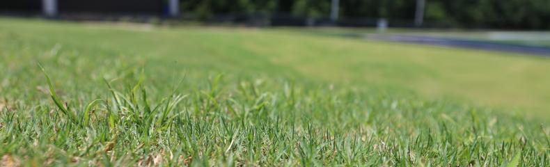 football field