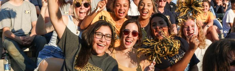 A group of people at a stadium cheering with gold and black pom-poms.